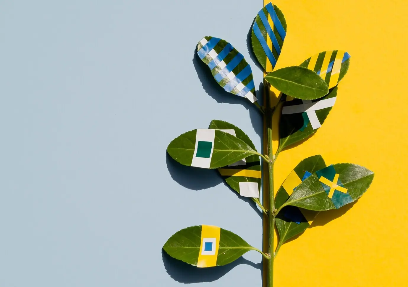 Разнообразные рисунки листьев фикуса красками на контрастном фоне.